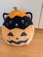 Kuscheltier Katze Kürbis Halloween 🎃