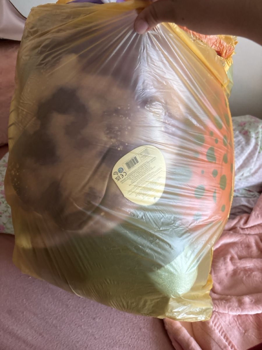 Giocattoli: Mystery bag Plüschtiere  – Usato da Dübendorf venduto da ame_g69g 1