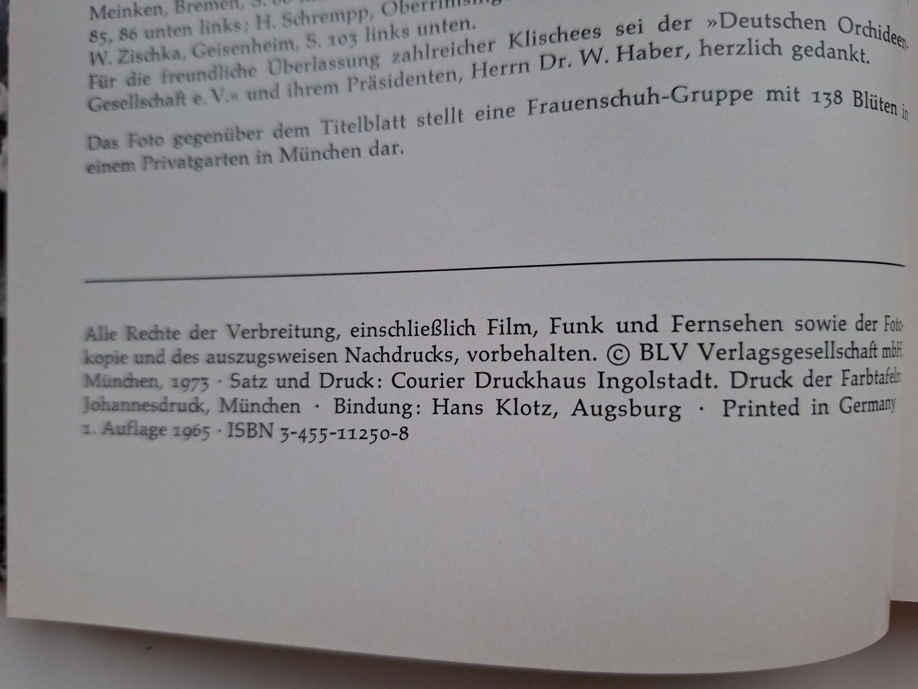 Libri: Orchideen im eigenen Garten - BLV Gartenbuch Top – Usato da Zürich venduto da t24_de 3