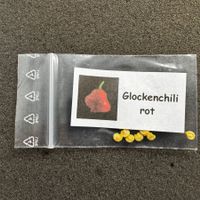 Glocken Chili 10 Chili Samen