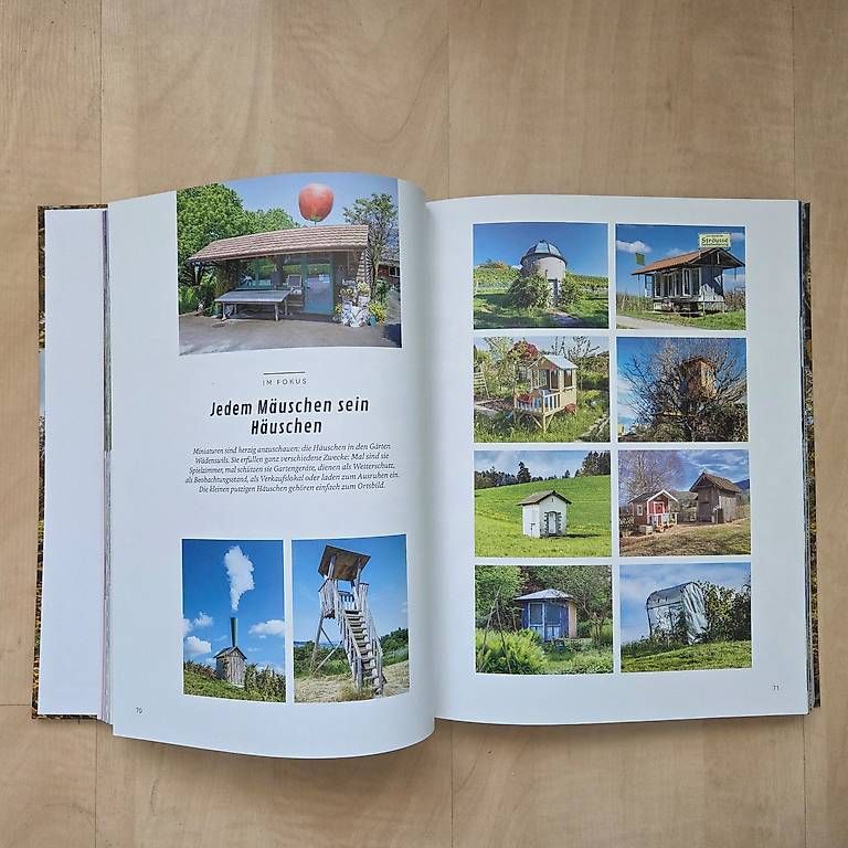 Libri: Wädenswil sehen - Ralf Turtschi – Nuovo (secondo la descrizione) da Zug venduto da Sunshine_113 1