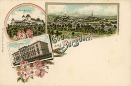 Burgdorf   BE   mit Technikum & Schloss    LITHO   ca. 1900