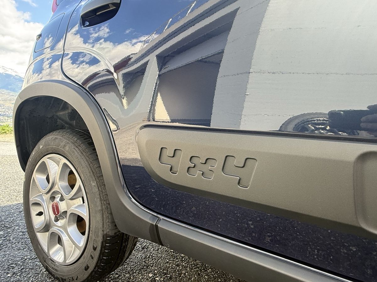 Fiat Automobili: Fiat Panda 4x4 Wild essence – Usato da Basse-Nendaz venduto da frimousse75 2