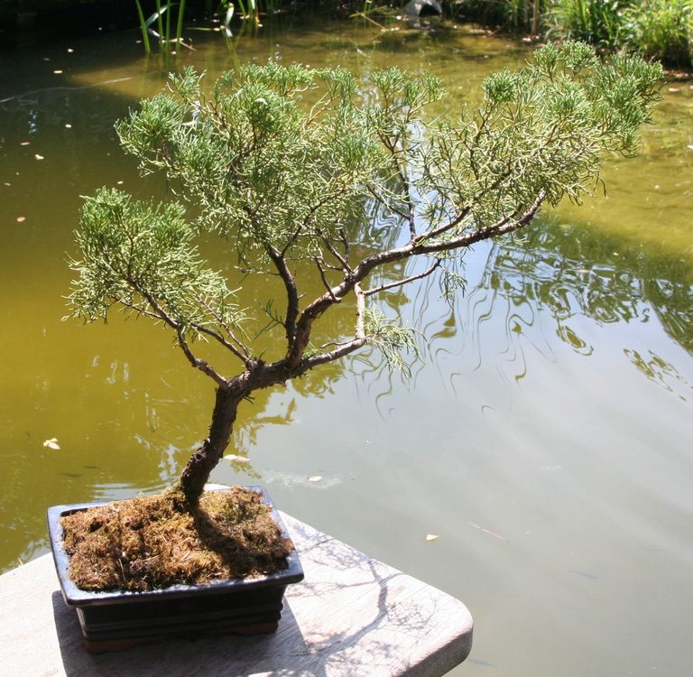 bonsai mini garten Miniature Pagoda Tower, Miniature Pagoda Statue, Bonsai Decoration, Garden Statues , Bonsai Figurines