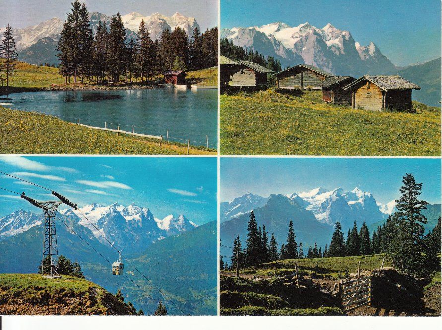 Cartoline postali: Haslibergalpen ca. 1970 – Usato da Bürglen TG venduto da StampGraf