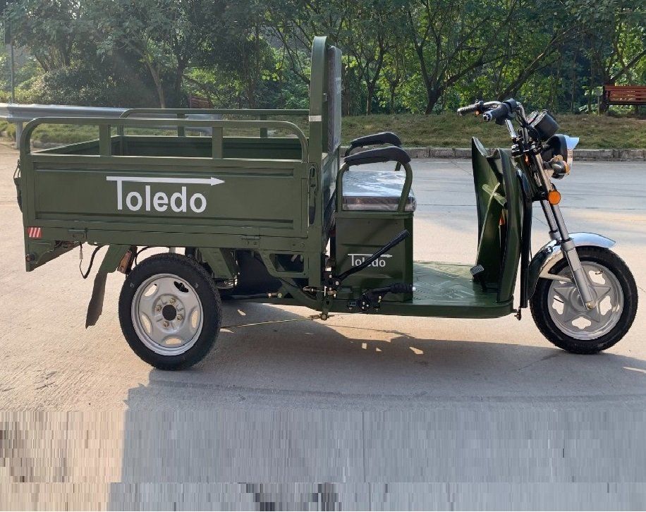Veicoli elettrici: TUKTUK-Dreirad mit Schweizer Strassenzulassung – Nuovo (secondo la descrizione) da Bünzen venduto da Turbolino5 6