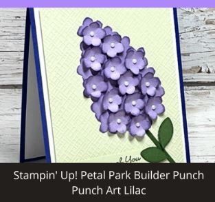 Stampin' up! Sciablone: Handstanze "Blühender Park" von Stampin up – Nuovo e nell'imballaggio originale da Frauenkappelen venduto da evangelina78 4