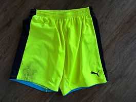 Schweiz SFV Hosen Gr. L