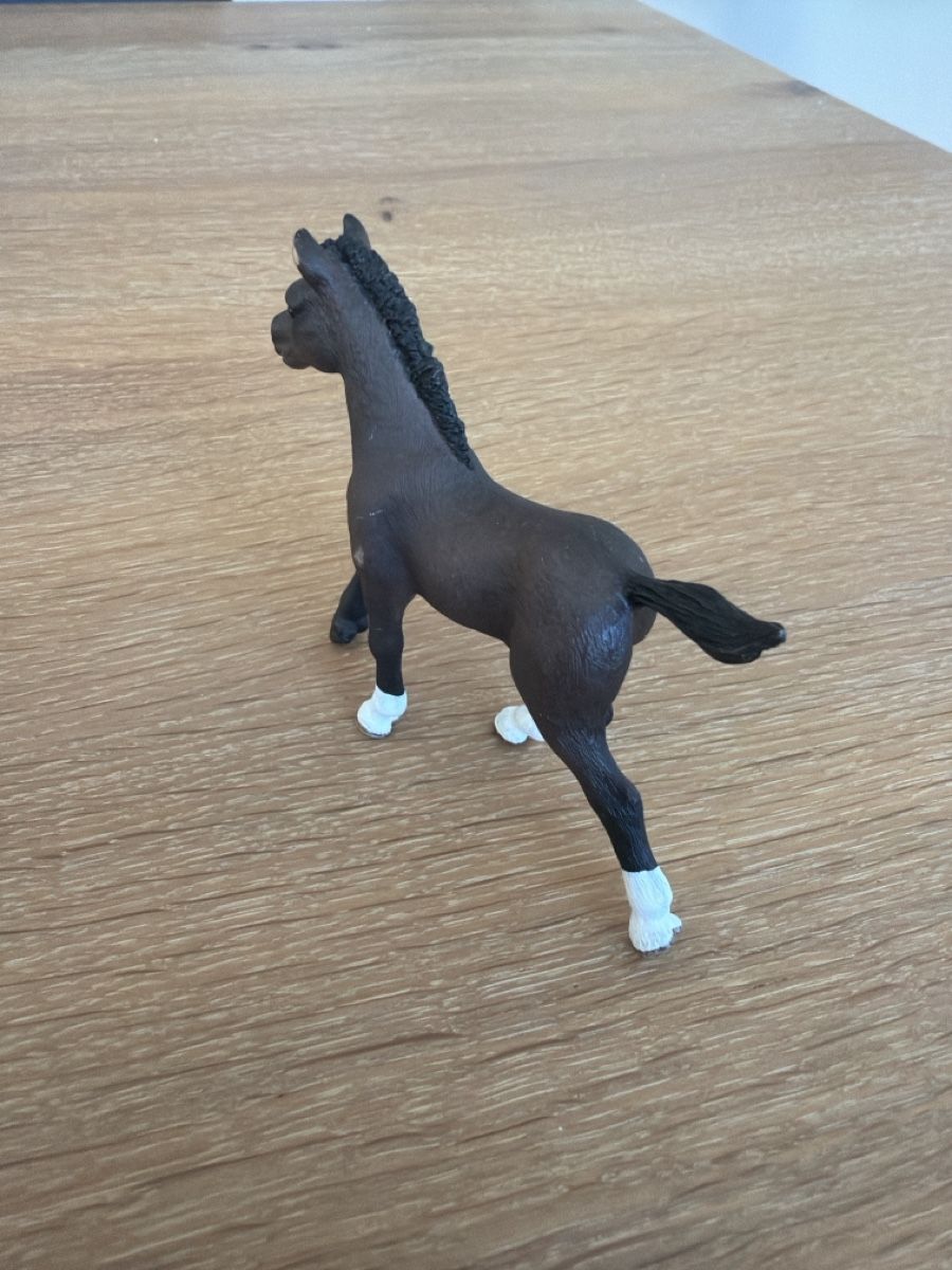 Schleich Giocattoli: Schleich Fohlen braun  – Usato da Uznach venduto da Player6 3