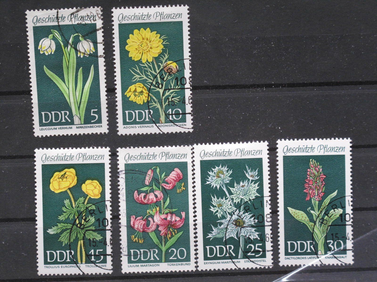 Alle Briefmarken: DDR 1969 Geschützte Pflanzen gest – Gebraucht aus Wil SG von fva01