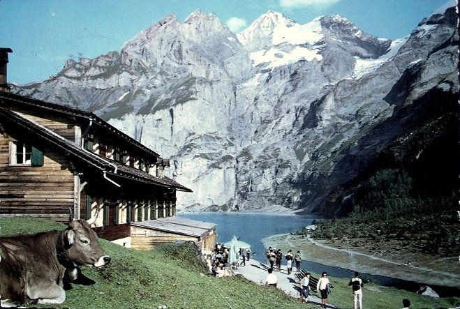 Ansichtskarten: KANDERSTEG Hotel Oeschinensee, Kuh – Gebraucht aus Jona von philajona