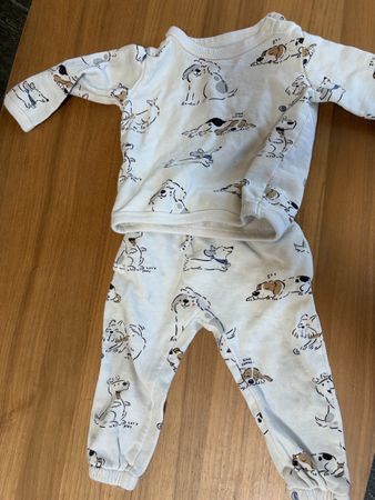 Ensemble chiens 80 cm