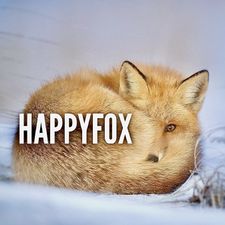 Profile image of happyfox