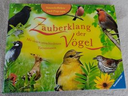 Buch Zauberklang der Vögel