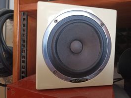 Avantone MixCube Passivmonitor Creme –Studio Referenzmonitor