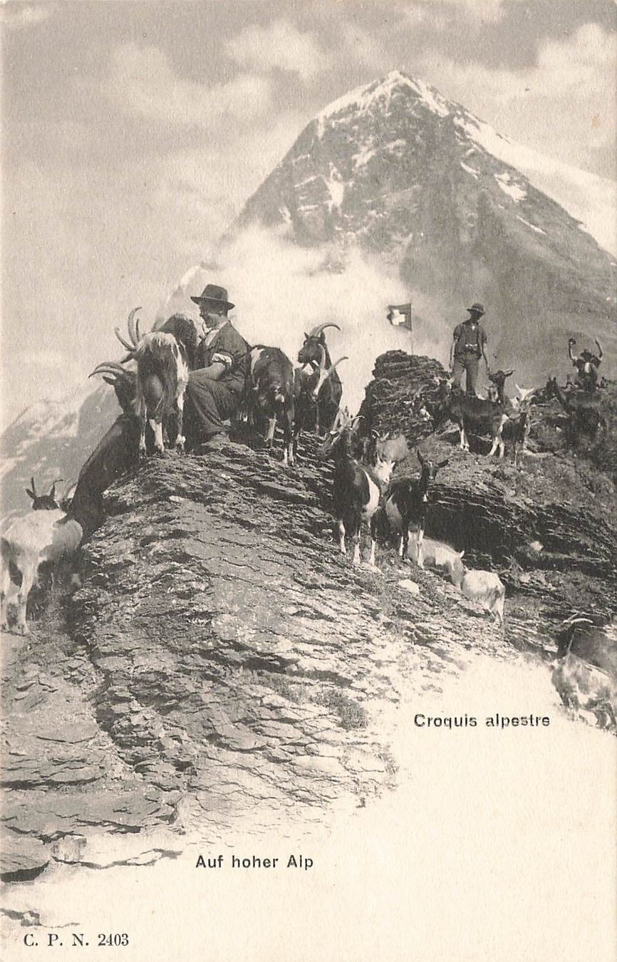 Cartoline postali: Alpe Animata animierte – Usato da Biasca venduto da Blenio71
