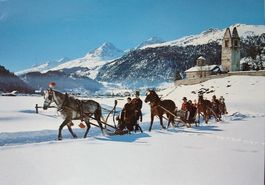 Celerina SAN GIAN Schlitteda - Pferde-Schlitten