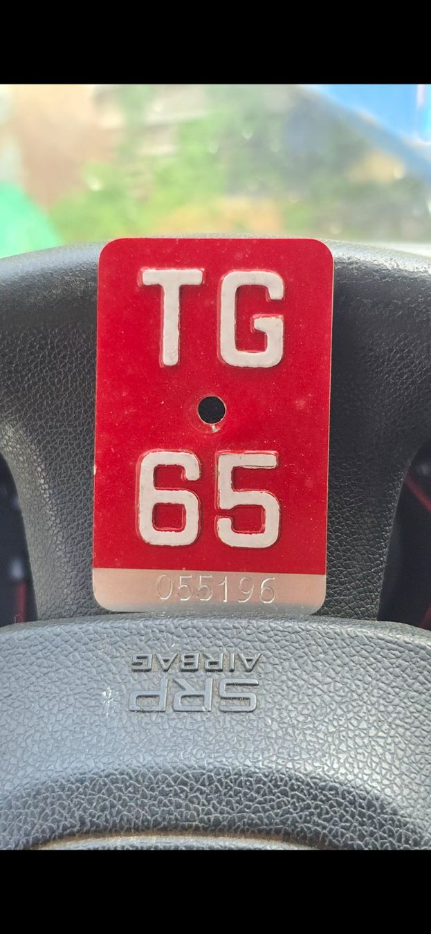 Schilder: Velonummee TG 1965 – Gebraucht aus Oberaach von Wicktrade