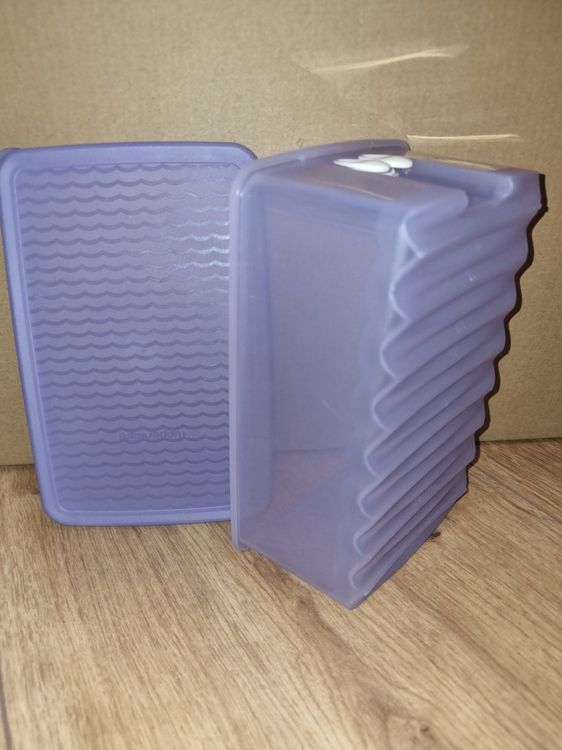 Tupperware Klima Oasi Prima – Flacher Frischhaltebehälter 800 Ml, Limettengrün