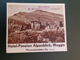 Alter Prospekt / Hotel Pension Alpenblick Weggis ca. 1930