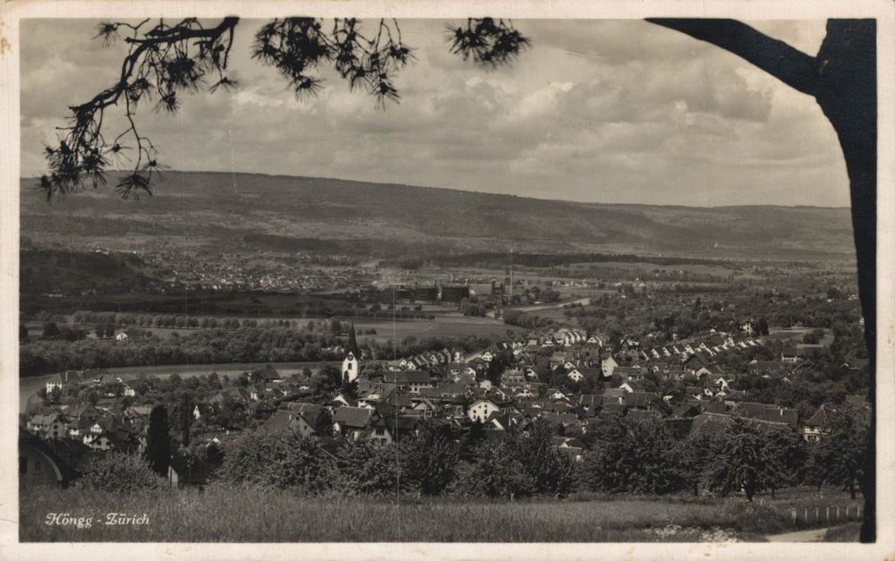 Höngg - Zürich (Gebraucht) in Bronschhofen für CHF 10 – mit Lieferung ...