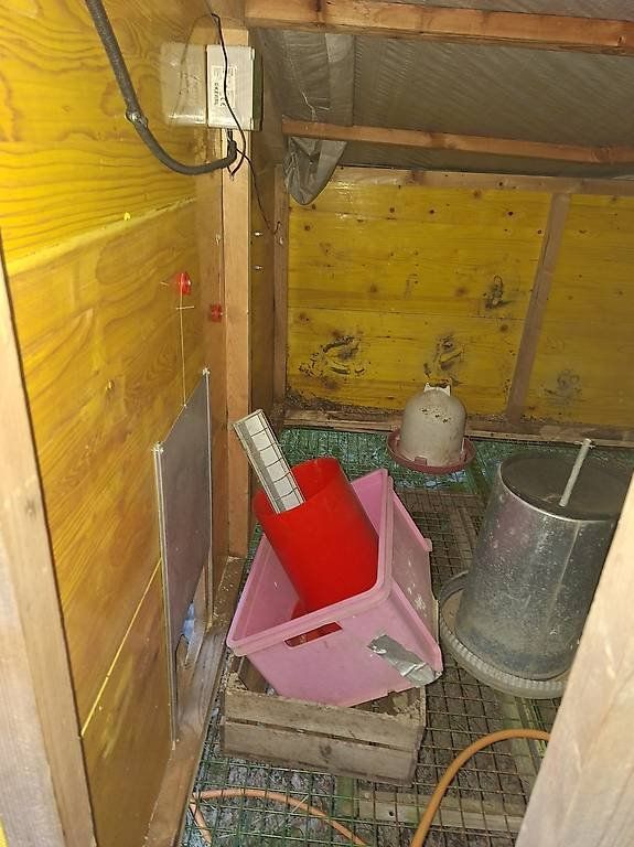 Käfige, Transport & Sicherheit: Hühnermobil – Gebraucht aus Mauern von eli_kz96 3