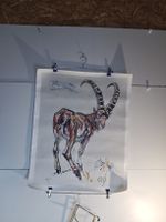 HUG Zeichnung Lithographie Steinbock. (nov647)