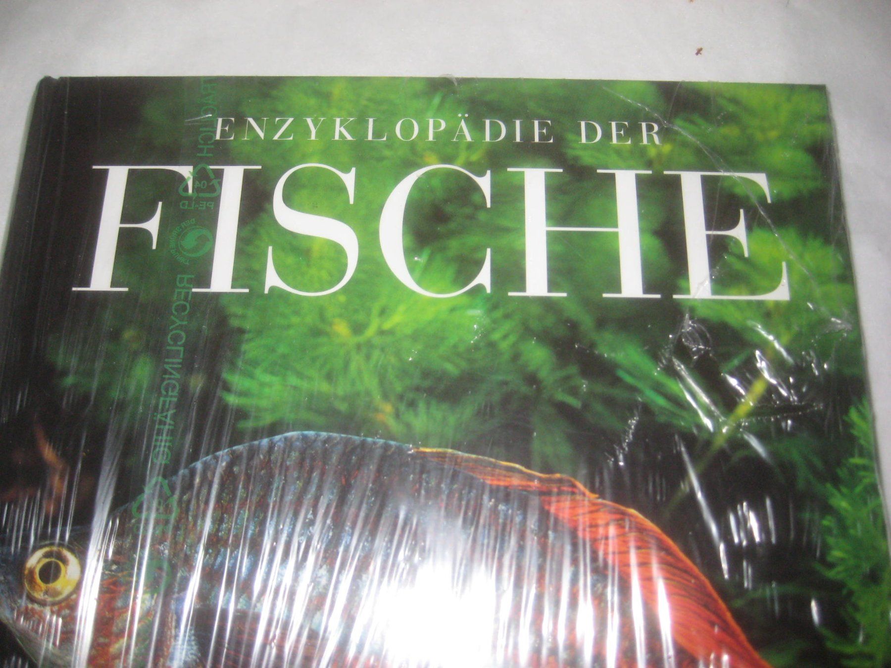 Libri: BUCH  FISCHE – Nuovo e nell'imballaggio originale da Uster venduto da flocke1 1