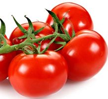 Ab 5.- fr 5 Samen Tomate RAMATO Kupfer / Cluster Tomat