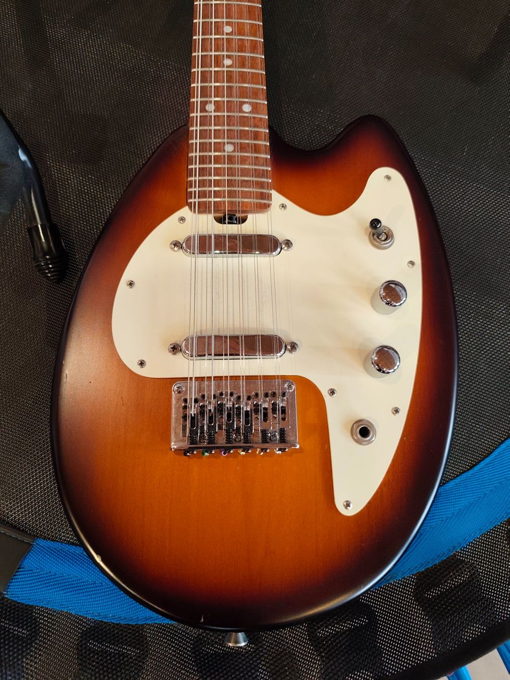 Strumenti musicali: Hammertone 12 String Octave MandoGuitar – Usato da Zofingen venduto da Fade8 1