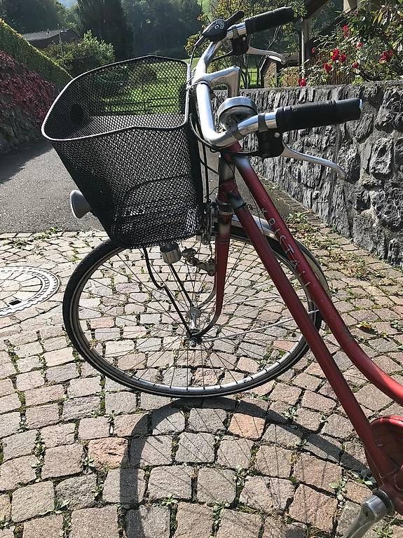 Vélos: Vintage Velo – Défectueux à Mosnang par Nilya_Erdo 1