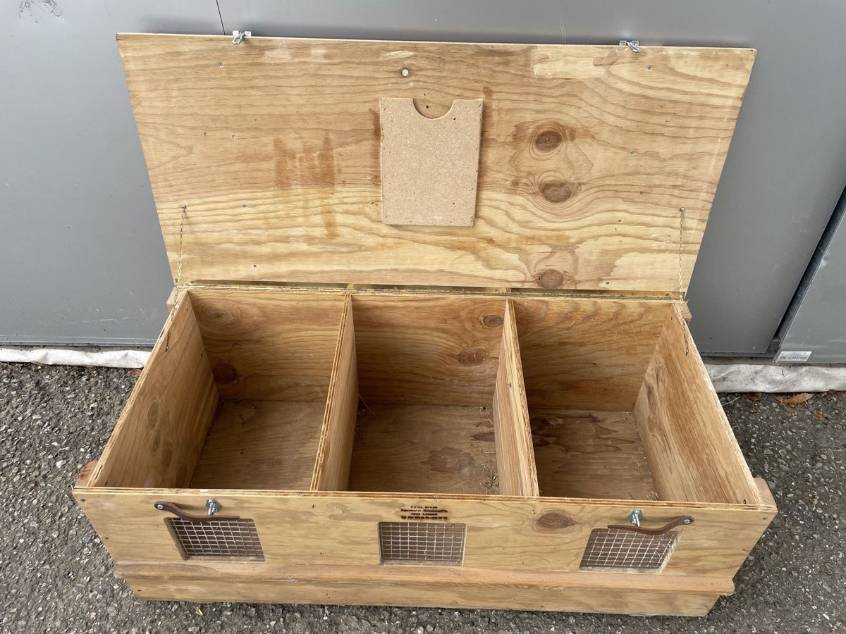 Altro in Decorazioni & Accessori: Transportbox für Kaninchen – Usato da Willisau venduto da lar.ssa 1