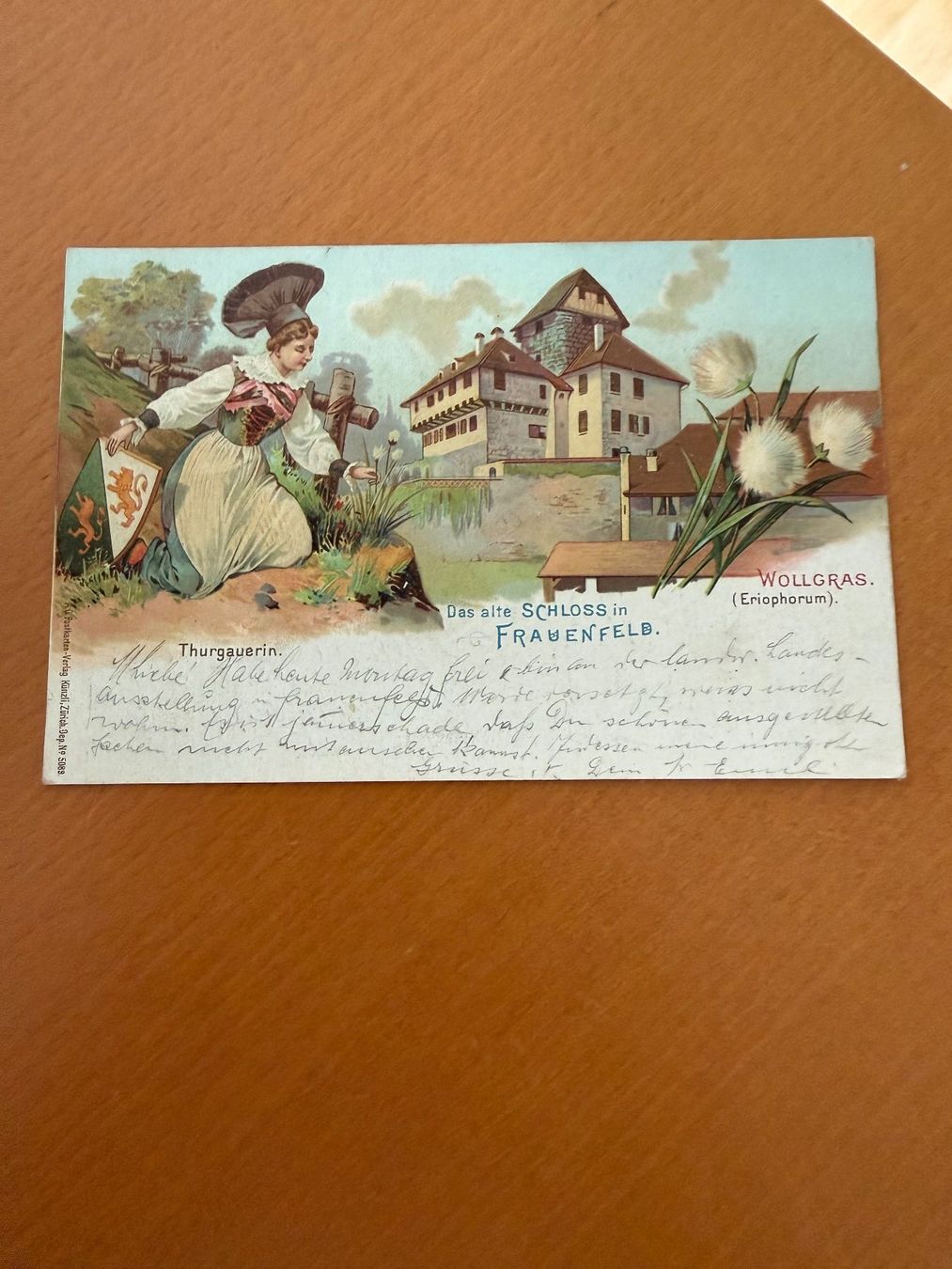 Cartoline postali: Schloss Frauenfeld , Chromolitho – Usato da Fehraltorf venduto da bruggin 1