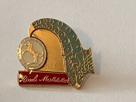 1 Pin Rössli Matstetten