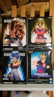 LAST PRICE! Dragon Ball Blood of Saiyans Figure Banpresto