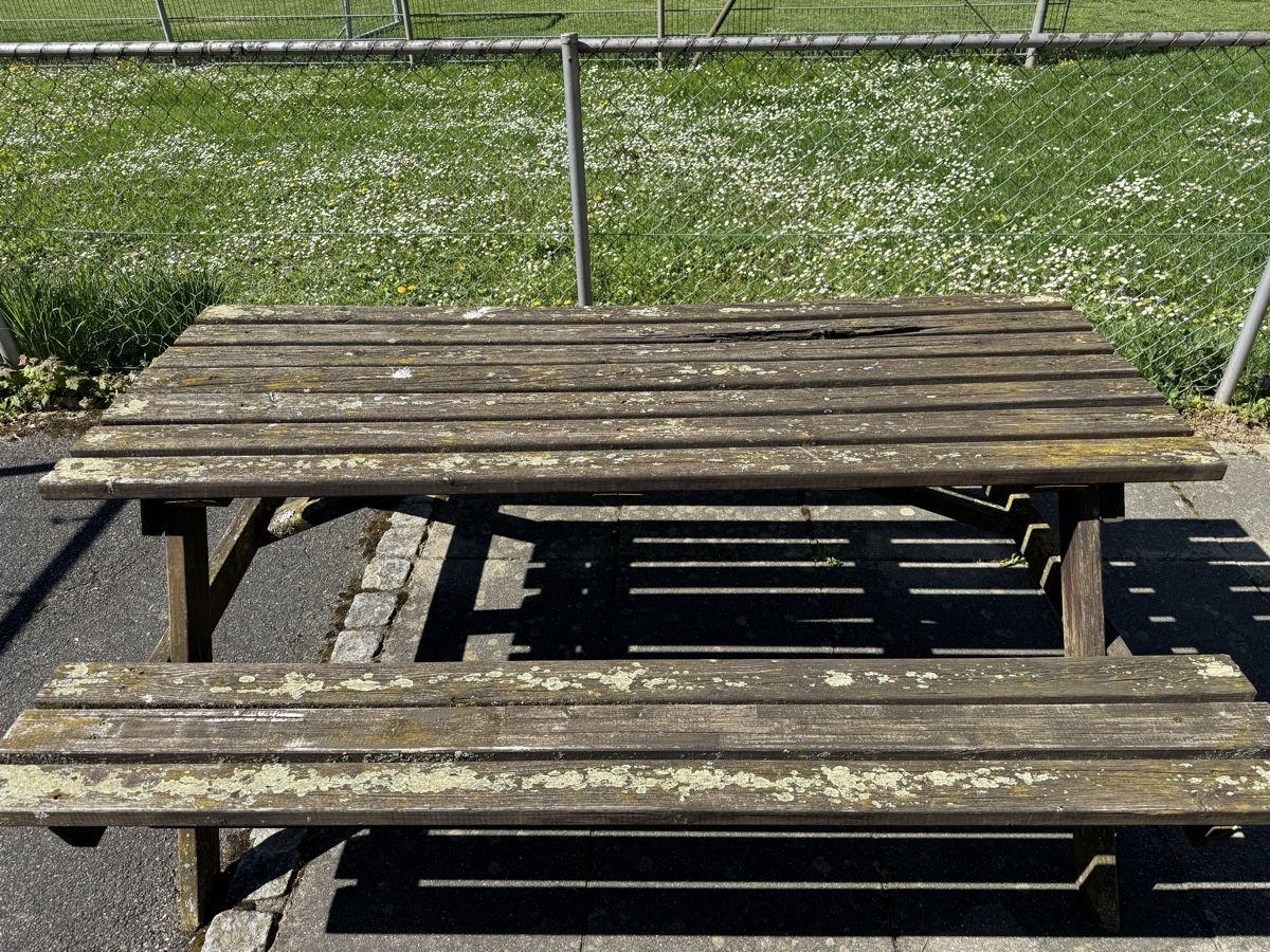 Set di tavolo e panche: Gartentisch GRATIS – Usato da Orpund venduto da dizi.98 2