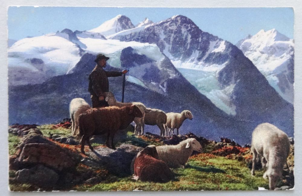 Noch – Figurines Moutons Et Berger – échelle TT – Pour Maquettes Agricoles Et Dioramas
