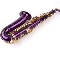 Karl Alaser Alt Saxophon violett, mit koffer, NEU
