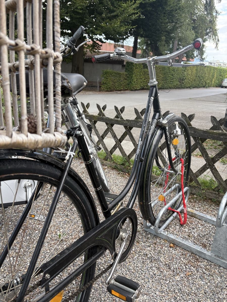Puch Biciclette: Waffenrad Puch – Usato da Heerbrugg venduto da saryingo