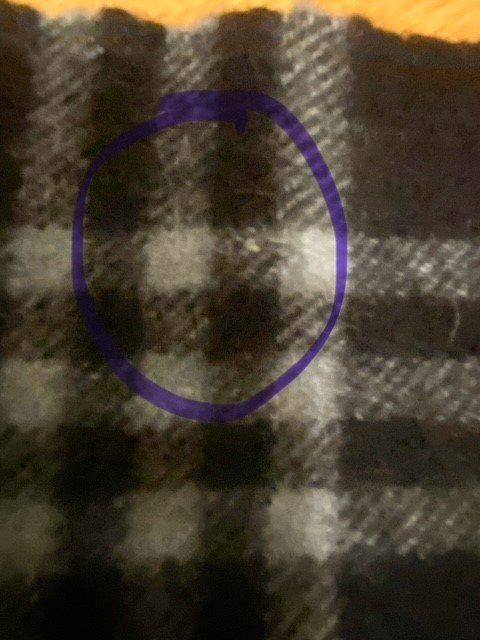 Burberry Foulard & Sciarpe: Original Burberry Schal, Kaschmir – Usato da Zürich venduto da Kurland1 5