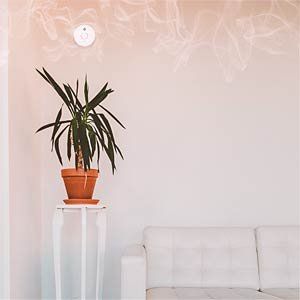Sistemi d'allarme: Rauchmelder LogiLink SC0015 – Nuovo e nell'imballaggio originale da Oensingen venduto da Liquidations-Shop 3