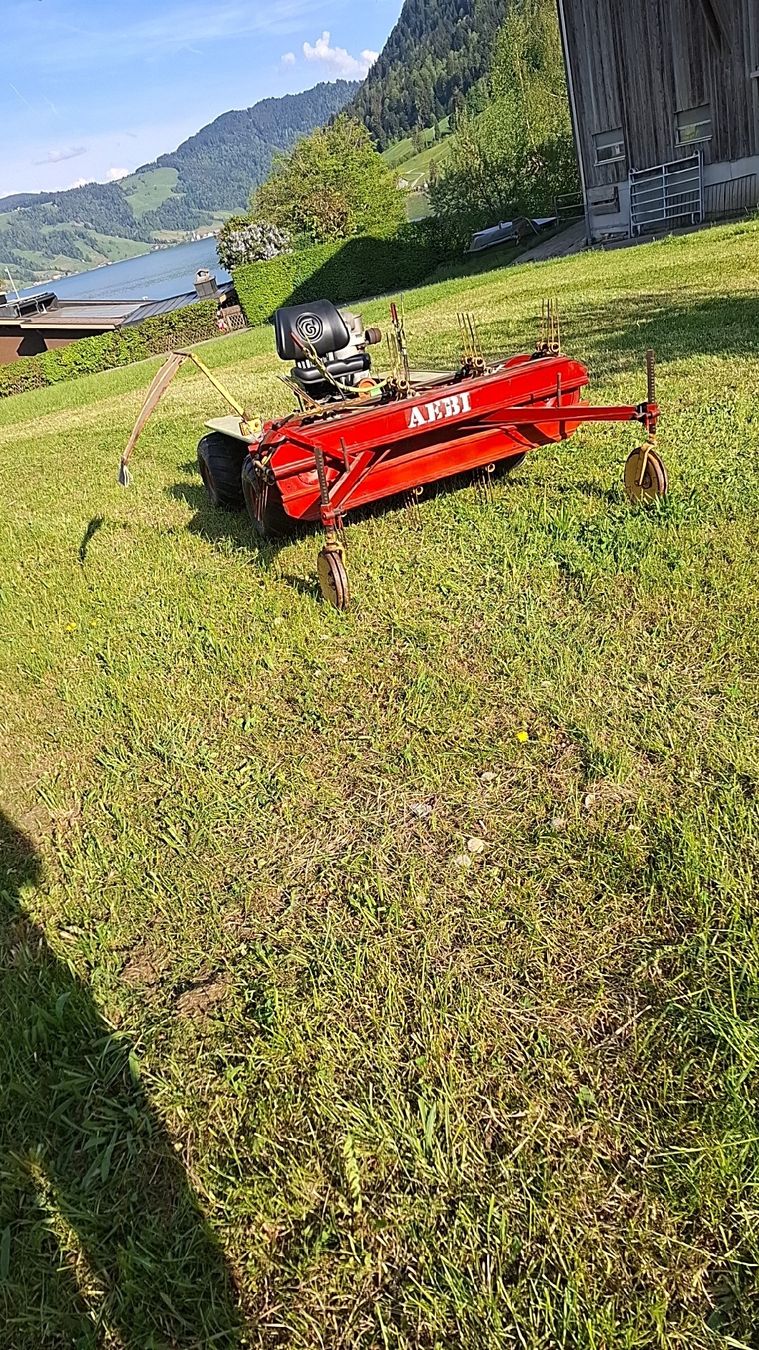 Trattori: Rasant Berg trac wanze – Usato da Unterägeri venduto da ite_x2gr