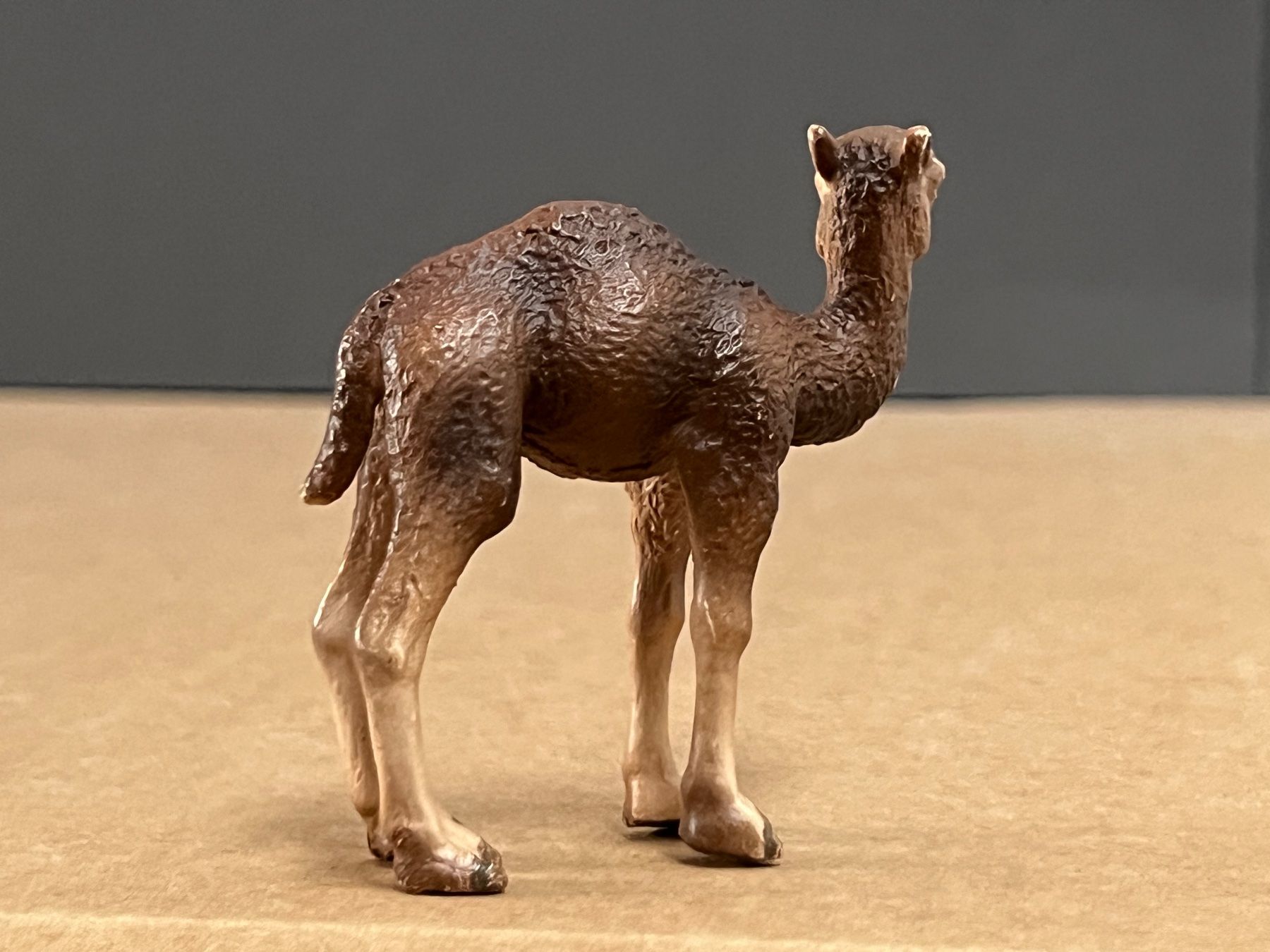Schleich Sonstiges Spielzeug & Basteln: Schleich Dromedar Stute und Fohlen Kamel – Gebraucht aus Ennetbaden von  4