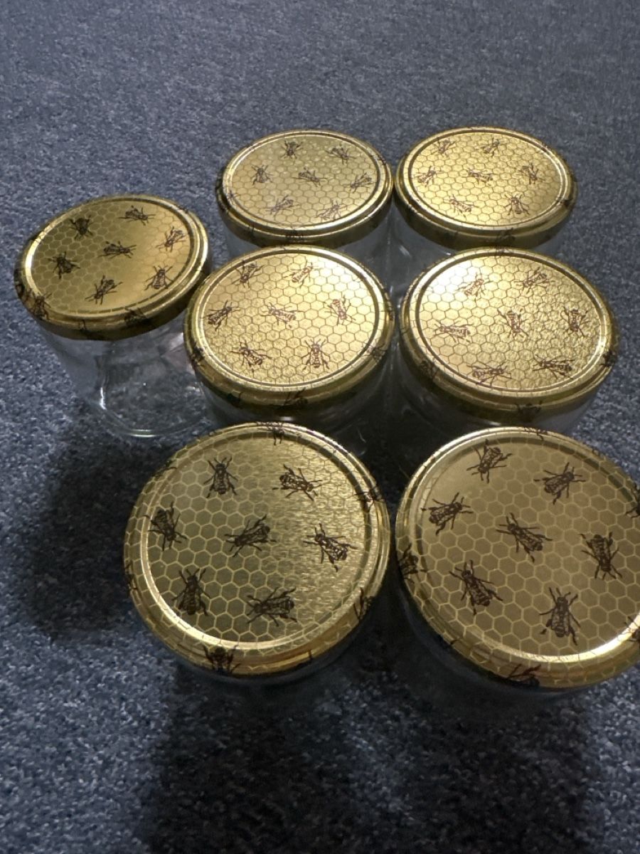 Contenitori & Simili: 29 leere Honiggläser à 500g – Usato da Baltschieder venduto da YmroBe