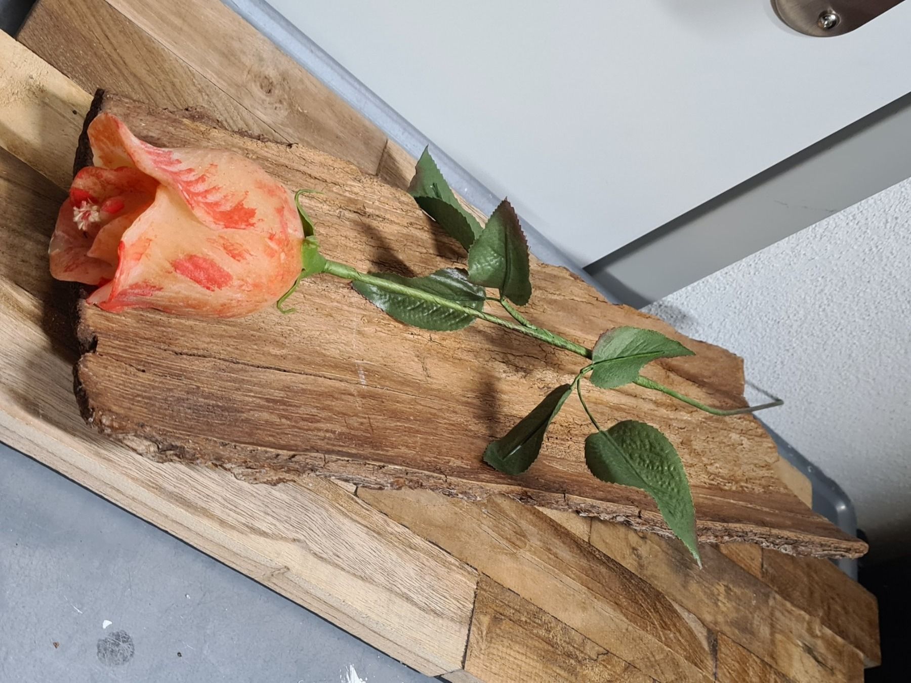 Candele: KERZEN- Langstiel Rose – Nuovo (secondo la descrizione) da Amriswil venduto da used2use 1