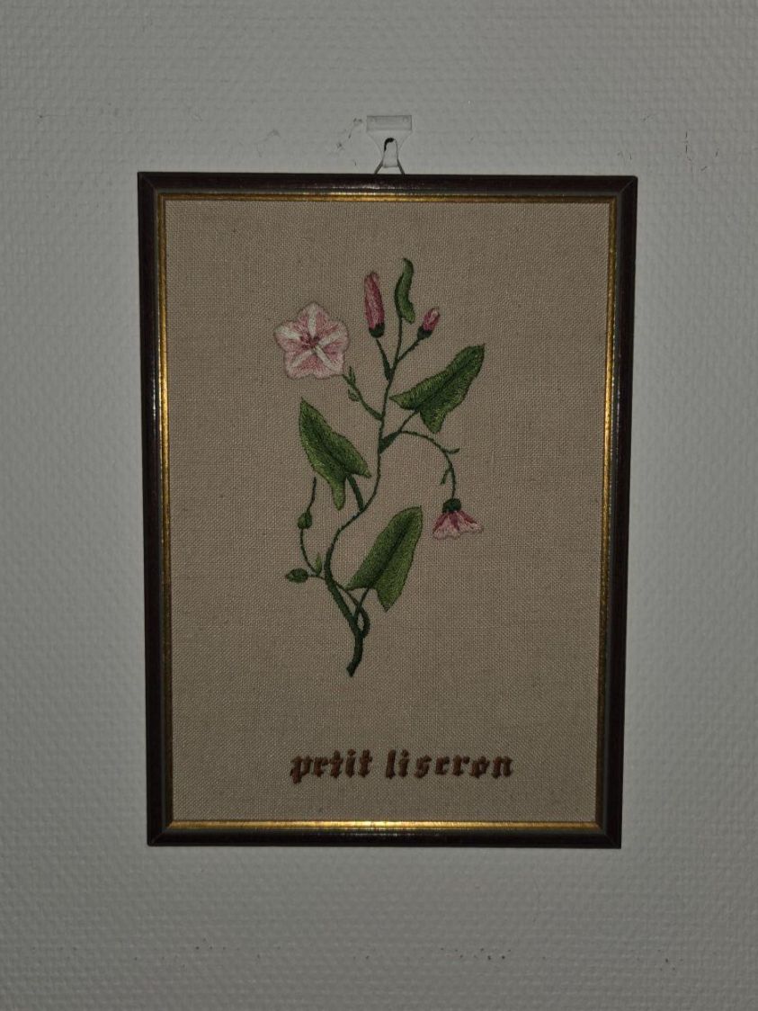 Dipinti: Broderie - Petit Liseron - 32 x 23 cm – Usato da Plan-les-Ouates venduto da NomadeMarchand 1