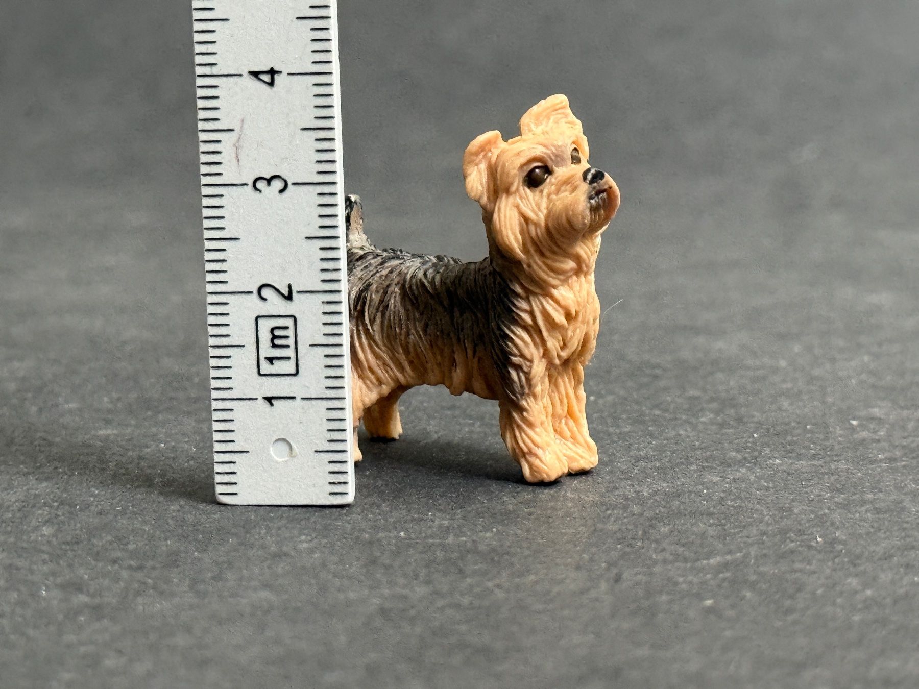 Schleich Statuette: Schleich 13876 Yorkshire Terrier Hund – Nuovo (secondo la descrizione) da Ennetbaden venduto da mapa05 2