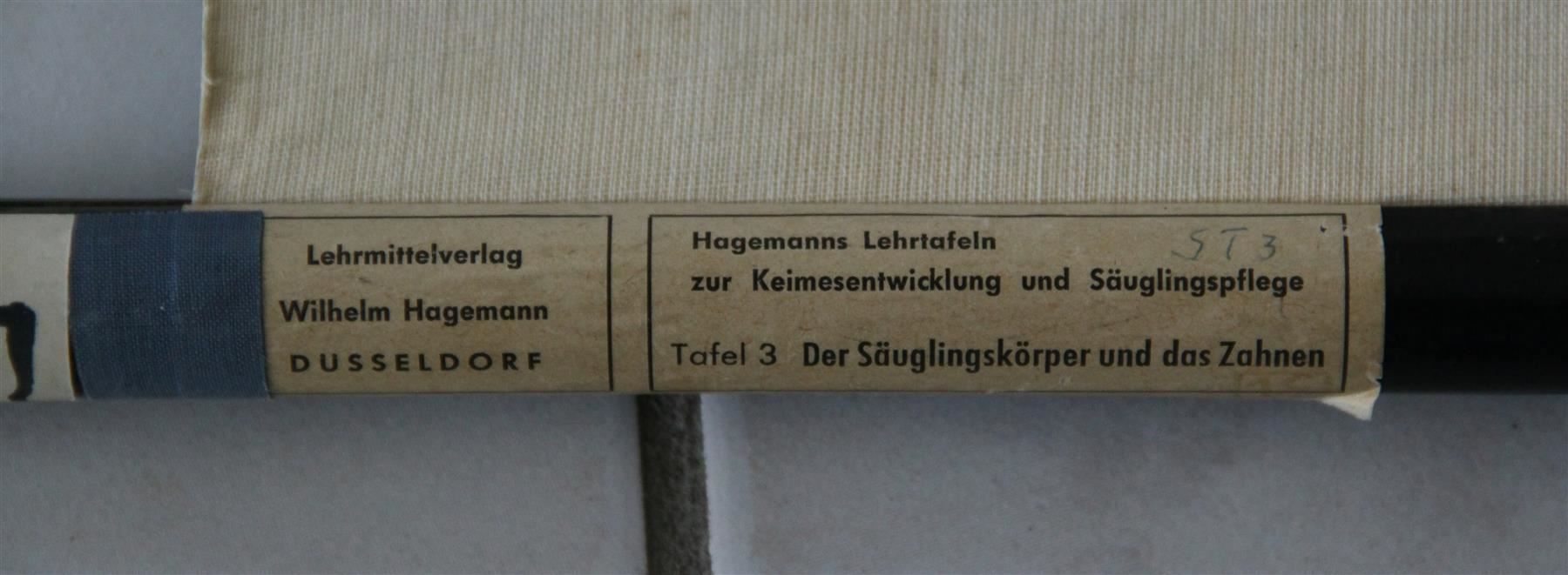 Poster & Bilder: Schulwandbild "Baby & das Zahnen" – Gebraucht aus Birrwil von brandschatz_birrwil 9