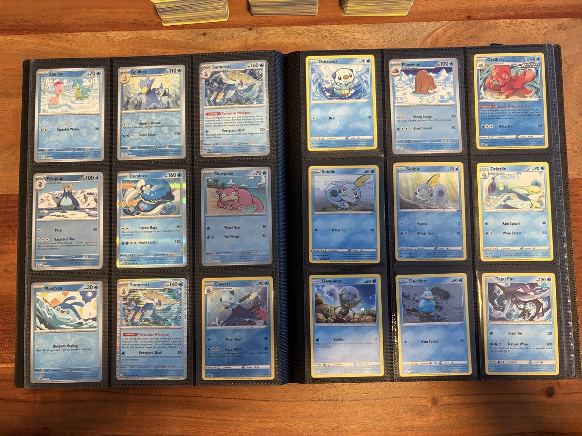 Pokémon Carte collezionabili: 550+ Pokémon Karten & Binder (diverse Sets) – Usato da Frauenfeld venduto da LTK_07 8