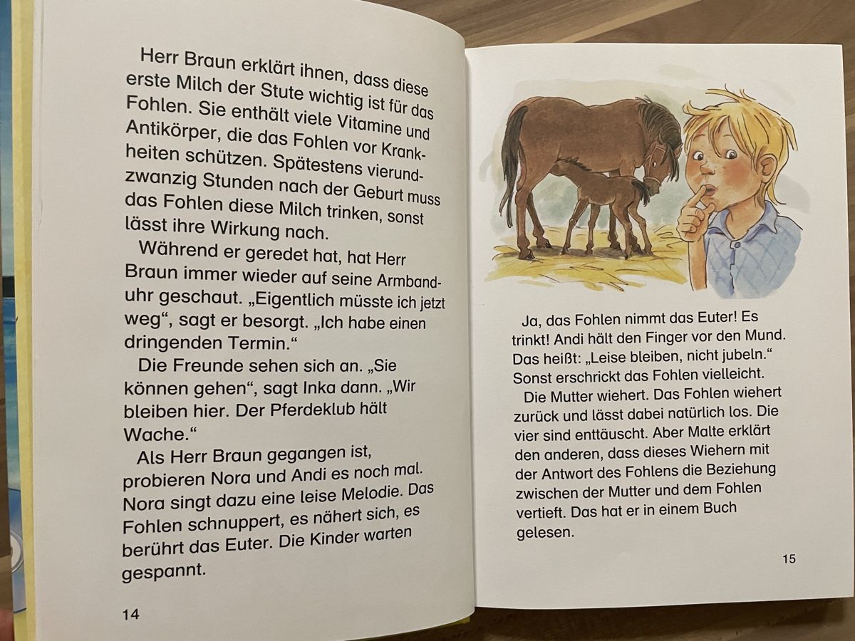 Bücher: Die schönsten Leselöwen Pferdeheschichten – Gebraucht aus Elsau von Lusmus13 2